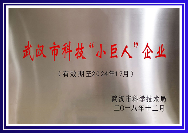 武汉市科技小巨人企业